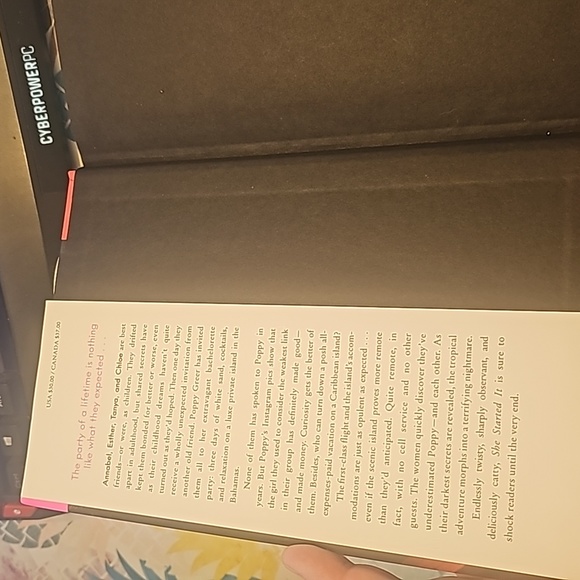 She Started It a novel by Sian Gilbert - Picture 4 of 5